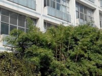 貴州貴陽中山科技幼兒師范學校2023年學費、收費多少