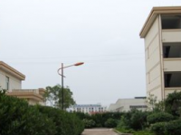 石家莊東方科技幼兒師范中等專(zhuān)業(yè)學(xué)校2023年招生錄取分?jǐn)?shù)線(xiàn)