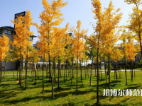 寧夏民族職業(yè)技術(shù)師范學院2023年怎么樣、好不好