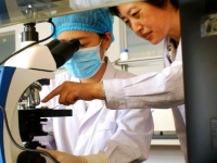 四川文軒職業(yè)學(xué)院2023年學(xué)費(fèi)、收費(fèi)多少